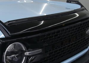 Hood Bug Deflector